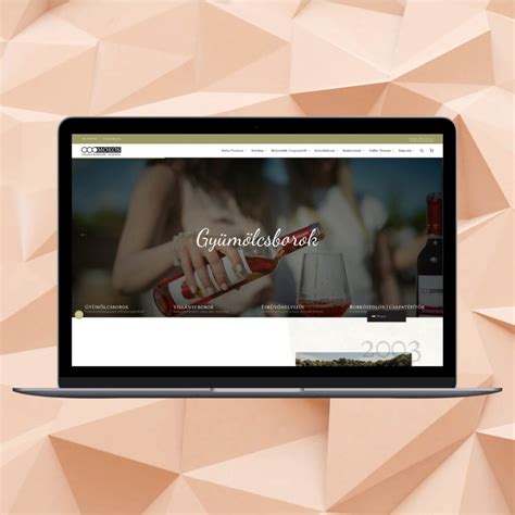 Graphisoft webáruház felülete