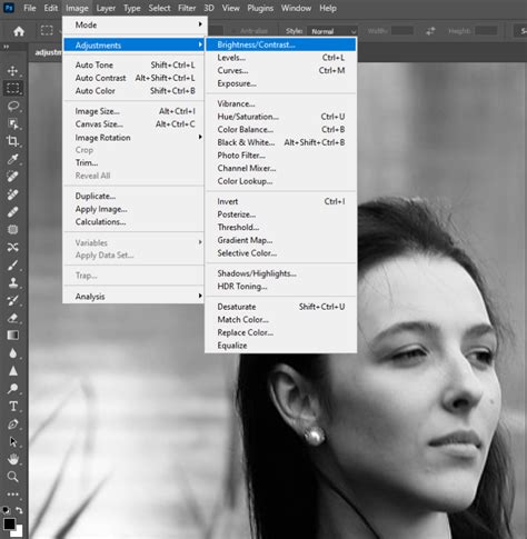 Photoshop Image Adjustments
