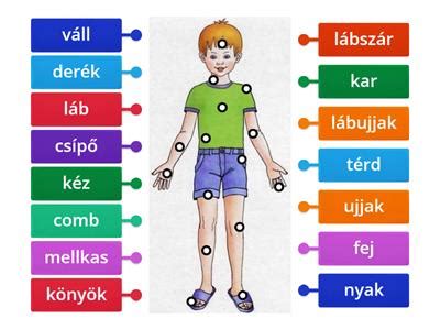 Geometriai alakzatokból felépülő emberi test vázlata