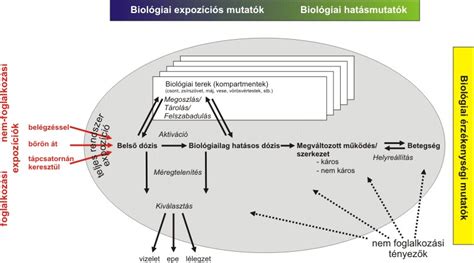 Kettős expozíció textúrák