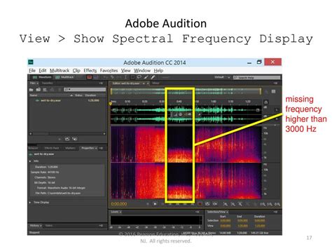 Spectral View Adobe Audition