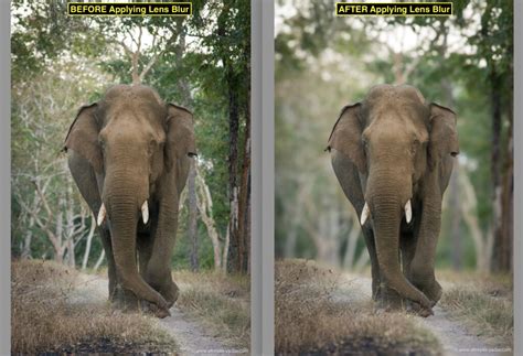 Lightroom Lense Blur funkció mélységi térképpel