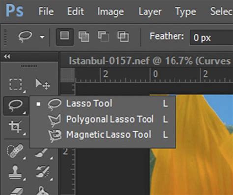 Photoshop Lasso Tool selection