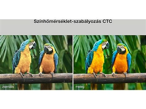 két kép összehasonlítása különböző kameraállásokkal