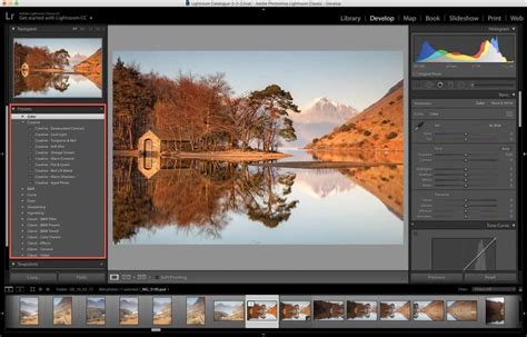 Lightroom interface with presets panel