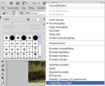 Átlátszóság beállítása az ecset eszköznél