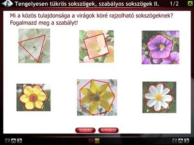 A Lasszó és Sokszög Lasszó eszközök