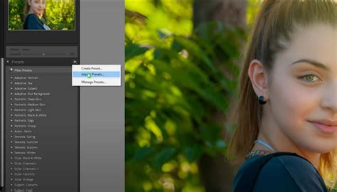 Lightroom Presets Panel