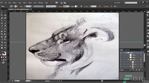 Adobe Illustrator eszköztár