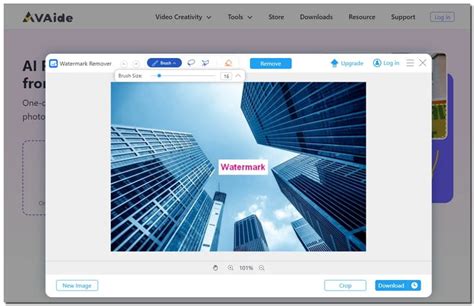 AVAide Watermark Remover felület