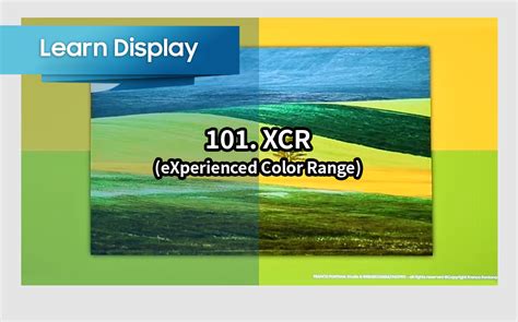 A Color Range ablak a Photoshopban