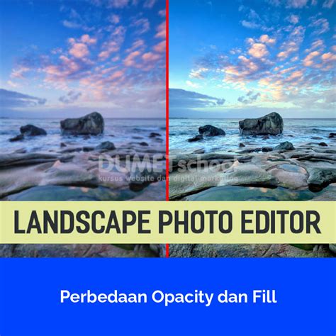 Opacity és Fill különbsége