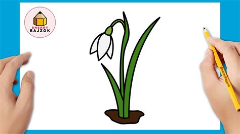 Hóvirág szárának és leveleinek rajzolása Illustratorban