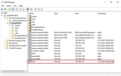 Képernyőkép a DNS Manager panelről