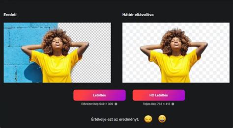 Pixlr felületének képernyőképe, kiemelve a háttér eltávolító funkciót