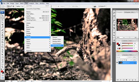 Példa az élesítés hatására Photoshopban