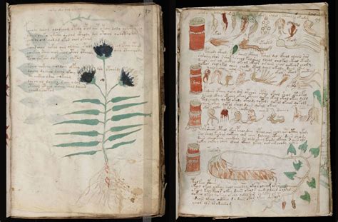 Középkori illuminált kézirat