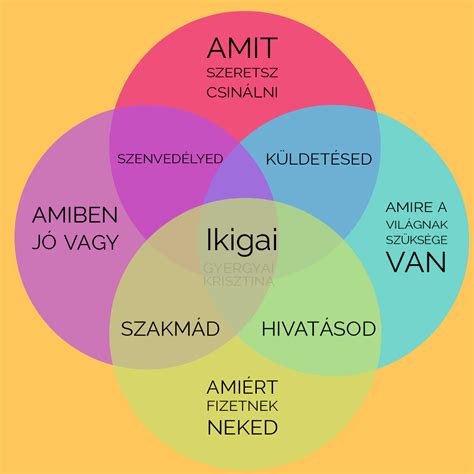 Különböző borcímke stílusok