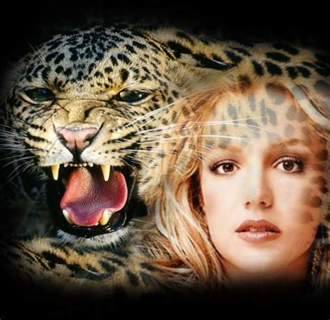 Képmanipuláció különböző funkciói