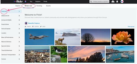Flickr fotómegosztó felület