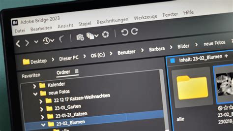 Adobe Bridge előnézeti beállítások ablaka