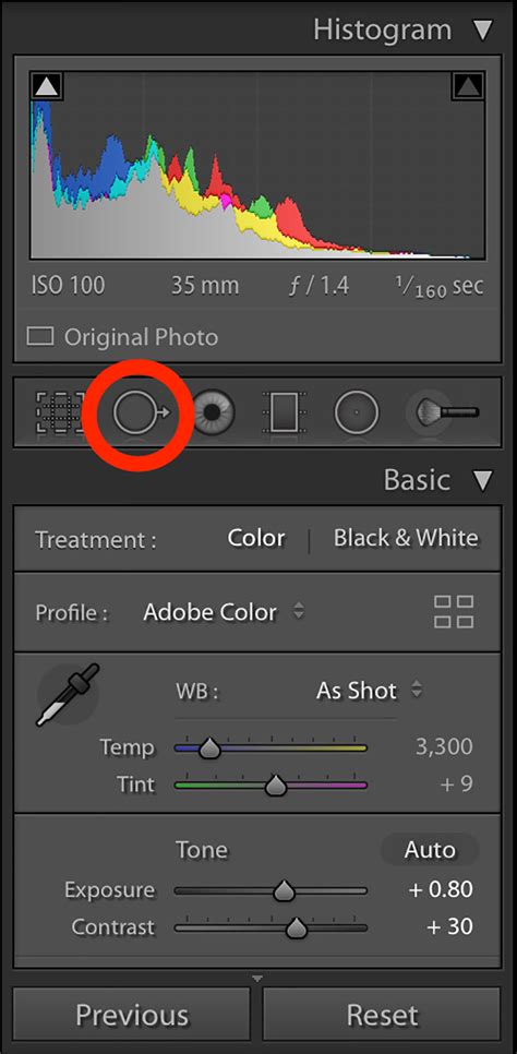Lightroom Spot Removal tool interface