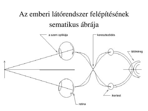 Tűzfal működésének sematikus ábrája