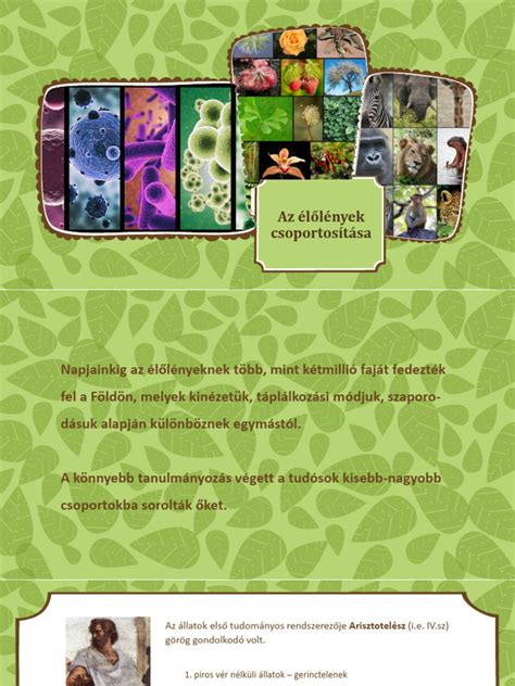 Objektumok csoportosítása az Illustratorban