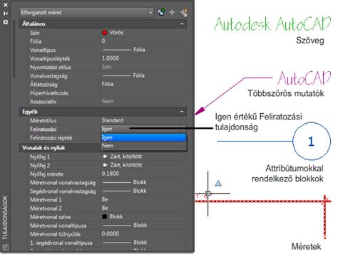 CorelDRAW objektumok méretezése és forgatása