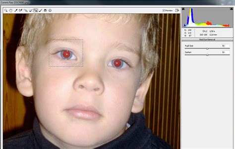 A Photoshop eszköztára a Vörös szem eszközzel