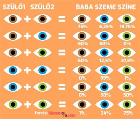 szemszín genetika infografika