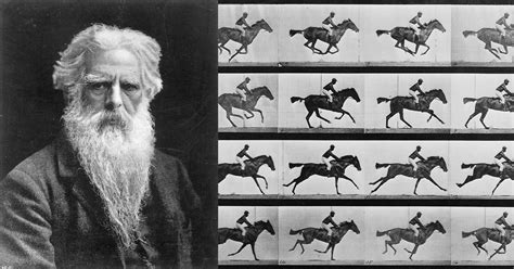 Eadweard Muybridge: A vágtató ló