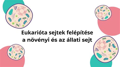 Különböző naptárak összehasonlítása