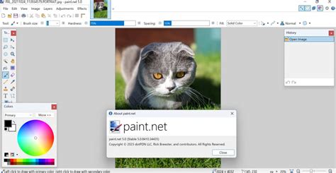 Paint.NET felület