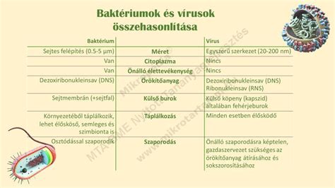 Különböző elmosódási effektek összehasonlítása