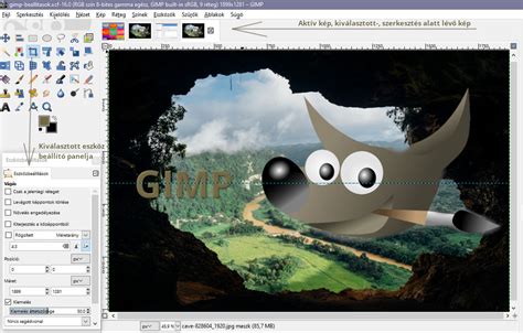 GIMP Suli logó vagy illusztráció