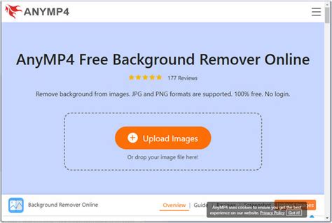AnyMP4 Background Remover Online felület