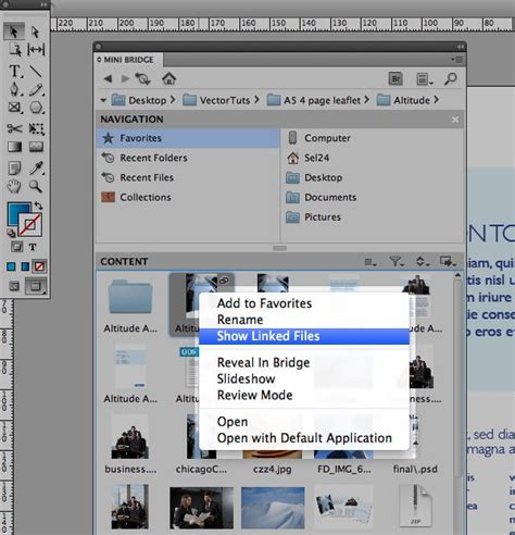 Mini Bridge InDesign panel