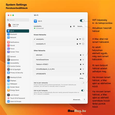 Firka program indítási ablaka és beállítási opciói