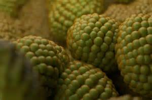 Frekvenciaszétválasztás folyamatának illusztrációja