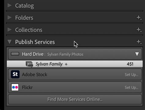 Lightroom Publish Services felület