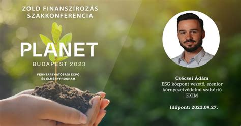 Példák sikeres logó-szlogen párosításokra