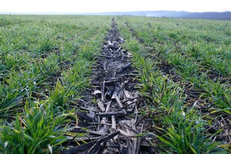 Vágás és forgatás GIMP-ben