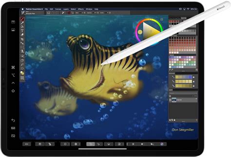 Corel Painter Essentials 6 funkciók és eszközök