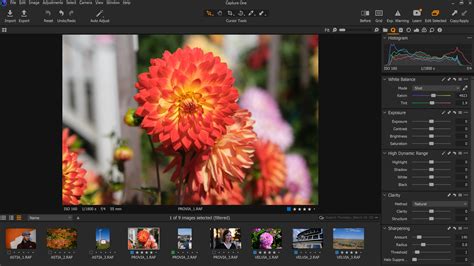 Capture One Express felület