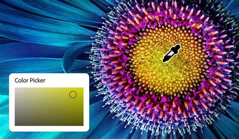 Adobe Photoshop színválasztó és színpaletta