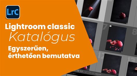 Lightroom katalógus mentés beállítások