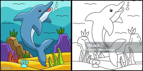 Színes delfin illusztráció