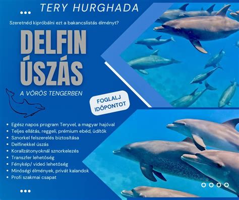 Delfin illusztráció a tengerben