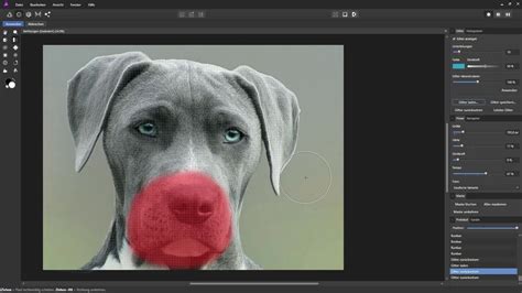 Affinity Photo Persona Váltó